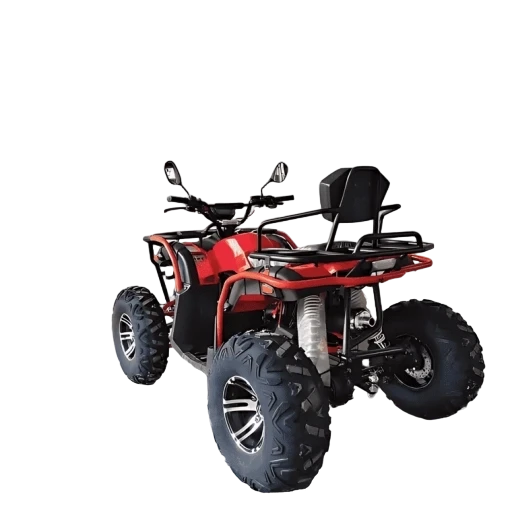  MAX 300 X