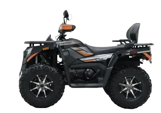  MAX 300 X EFI