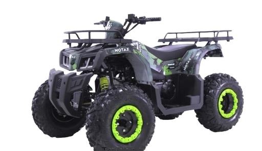 Квадроцикл ATV Motax Grizlik T 200 LUX