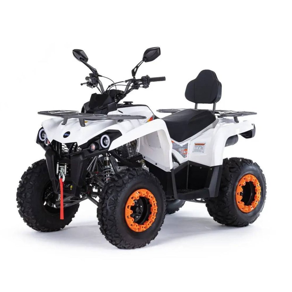 Квадроцикл Motax Grizlik 200 Ultra