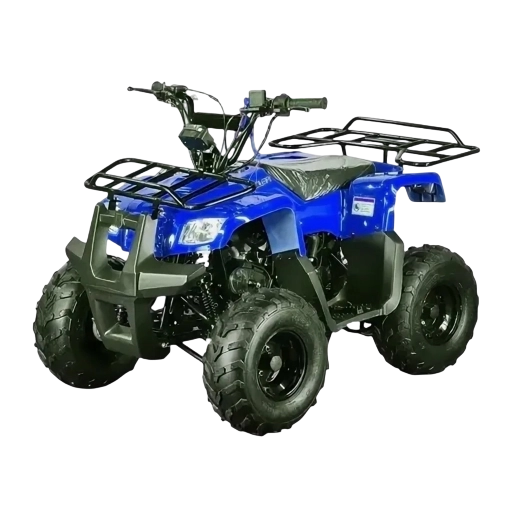 Квадроцикл Motoland ATV Rider 