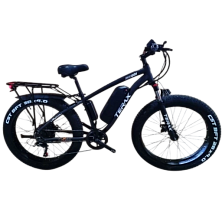 Интернет-магазин GONKA.BY мототехника для города и бездорожья. Рассрочка,, кредит, лизинг без переплат, оплата частями, без первоначального взноса, онлайн - фото электровелосипед terax neman xd01 